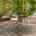 Blurred preview of media: DSC06479