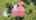 Blurred preview of media: DJI_0757