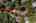 Blurred preview of media: Aerial 11 Marker