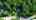 Blurred preview of media: DJI_0183