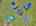 Blurred preview of media: DJI_20260603130421_0197_D_8_D_9_D_easyHDR