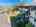 Blurred preview of media: DJI_20260617051311_0095_D-Edit