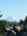 Blurred preview of media: 20250106_104340
