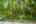 Blurred preview of media: 10-0_SW_Upper_Dr_vacantlot