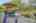 Blurred preview of media: IMG_8070