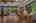 Blurred preview of media: 55