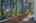 Blurred preview of media: 1-41