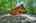 Blurred preview of media: IMG_0523_4_5_easyHDR