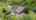 Blurred preview of media: 6