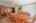 Blurred preview of media: IMG_1558_59_60