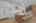 Blurred preview of media: 6V8A8628