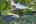 Blurred preview of media: 02_Ipixx_6