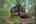 Blurred preview of media: PAX_1918