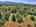 Blurred preview of media: 9zzn