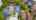 Blurred preview of media: 91