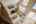 Blurred preview of media: PAX_0596