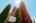 Blurred preview of media: 3KLimitedF-1