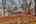 Blurred preview of media: IMG_8284_5_6_easyHDR