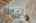Blurred preview of media: DSC02177