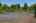 Blurred preview of media: Westlake Village 08