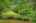 Blurred preview of media: 8