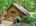 Blurred preview of media: DJI_20260608140037_0548_D_49_D_50_D_easyHDR