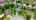 Blurred preview of media: DJI_20260526112841_0006_D