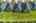 Blurred preview of media: 92-web-or-mls-iPixx_10_18