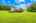Blurred preview of media: 1-726-0487