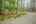 Blurred preview of media: PAX_0578