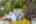 Blurred preview of media: 1-48