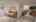 Blurred preview of media: IMG_1994