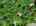 Blurred preview of media: 76-shades-of-death-road-great-meadows-n-j-drone-006