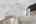 Blurred preview of media: 019_ROB05213