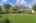Blurred preview of media: 250245-40a