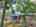 Blurred preview of media: DJI_20250728121146_0353_D_7_0354_D_7_0355_D_easyHDR