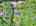 Blurred preview of media: DJI_20260603130612_0218_D_19_D_20_D_easyHDR