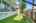 Blurred preview of media: DSC06484