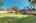 Blurred preview of media: 250242-41