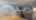 Blurred preview of media: 34.1