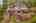 Blurred preview of media: Aerial 02