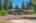 Blurred preview of media: 45
