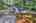 Blurred preview of media: IMG_4790_1_2_easyHDR