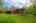 Blurred preview of media: Kerwood-46