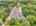 Blurred preview of media: DJI_20260616120851_0916_D_7_D_8_D_easyHDR