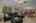 Blurred preview of media: DSC_3367