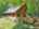 Blurred preview of media: DJI_20260608135455_0473_D_4_D_5_D_easyHDR