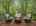 Blurred preview of media: Image Feb 18, 2026 at 09_22_12 AM