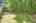 Blurred preview of media: 3-826-8443