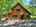 Blurred preview of media: Unknown media